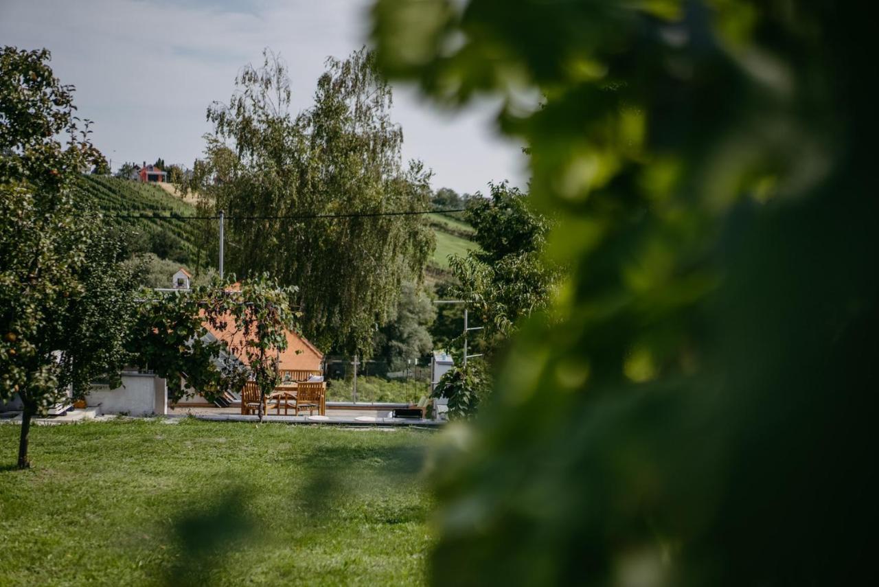 Wein Cottage Kellerstöckl Eisenberg an der Pinka Exteriör bild